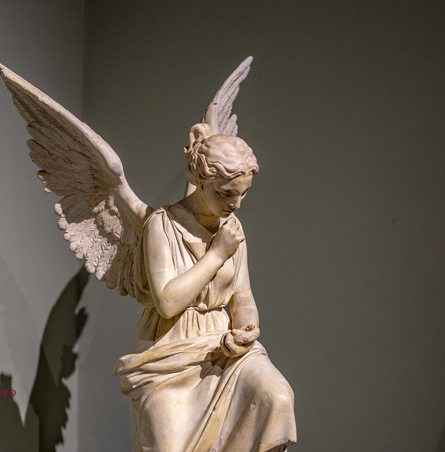 angel